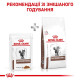 Royal Canin Gastrointestinal вологий корм для котів 85 г (1 упак 12 шт) Royal Canin – купити зі знижкою %