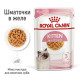 Вологий корм для кошенят Royal Canin Kitten Gravy pouch 85 г (1 упак 12 шт) Royal Canin – купити зі знижкою %