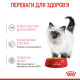 Вологий корм для кошенят Royal Canin Kitten Gravy pouch 85 г (1 упак 12 шт) Royal Canin – купити зі знижкою %