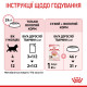 Вологий корм для кошенят Royal Canin Kitten Gravy pouch 85 г (1 упак 12 шт) Royal Canin – купити зі знижкою %