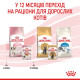 Вологий корм для кошенят Royal Canin Kitten Gravy pouch 85 г (1 упак 12 шт) Royal Canin – купити зі знижкою %