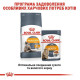 Вологий корм для котів Royal Canin Intense Beauty Gravy pouch 85 г (1 упак 12 шт) Royal Canin – купити зі знижкою %