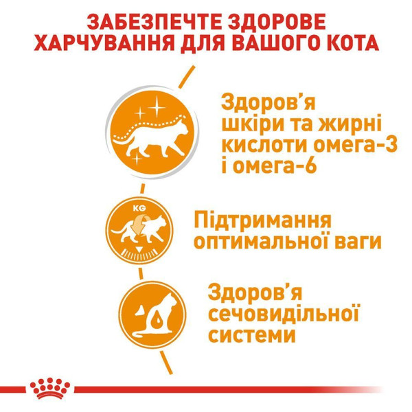 Вологий корм для котів Royal Canin Intense Beauty Gravy pouch 85 г (1 упак 12 шт) Royal Canin – купити зі знижкою %