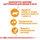 Вологий корм для котів Royal Canin Intense Beauty Gravy pouch 85 г (1 упак 12 шт) Royal Canin – купити зі знижкою %