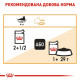 Вологий корм для котів Royal Canin Intense Beauty Gravy pouch 85 г (1 упак 12 шт) Royal Canin – купити зі знижкою %