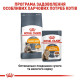 Вологий корм для котів Royal Canin Intense Beauty Gravy pouch 85 г (1 упак 12 шт) Royal Canin – купити зі знижкою %