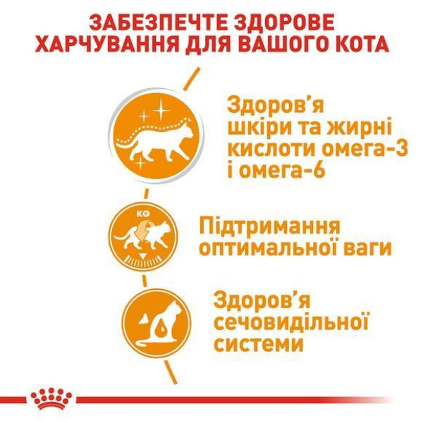 Вологий корм для котів Royal Canin Intense Beauty Gravy pouch 85 г (1 упак 12 шт) Royal Canin – купити зі знижкою %