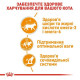 Вологий корм для котів Royal Canin Intense Beauty Gravy pouch 85 г (1 упак 12 шт) Royal Canin – купити зі знижкою %