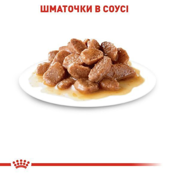Вологий корм для котів Royal Canin Intense Beauty Gravy pouch 85 г (1 упак 12 шт) Royal Canin – купити зі знижкою %