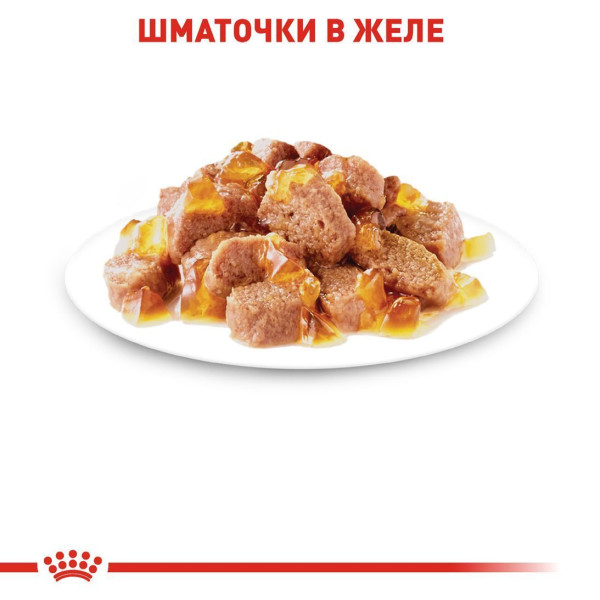Вологий корм для котів Royal Canin Instinctive Jelly pouch 85 г (1 упак 12 шт) Royal Canin – купити зі знижкою %