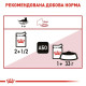 Вологий корм для котів Royal Canin Instinctive Jelly pouch 85 г (1 упак 12 шт) Royal Canin – купити зі знижкою %