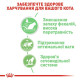 Вологий корм для котів Royal Canin Digest Sensitive Gravy pouch 85 г (1 упак 12 шт) Royal Canin – купити зі знижкою %