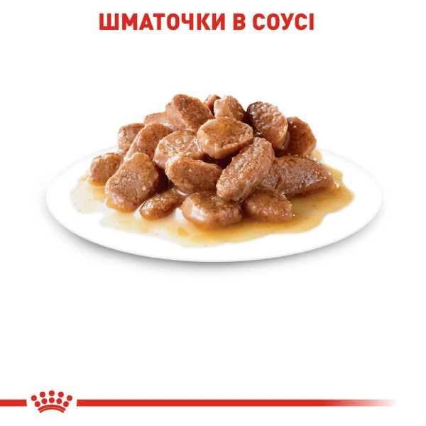 Вологий корм для котів Royal Canin Digest Sensitive Gravy pouch 85 г (1 упак 12 шт) Royal Canin – купити зі знижкою %