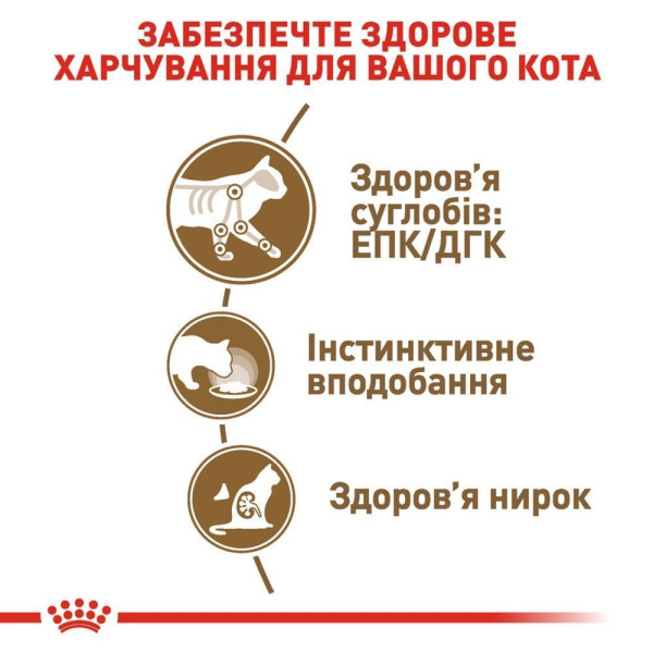 Вологий корм для котів Royal Canin Ageing 12+ Sauce pouch 85 г (1 упак 12 шт) Royal Canin – купити зі знижкою %