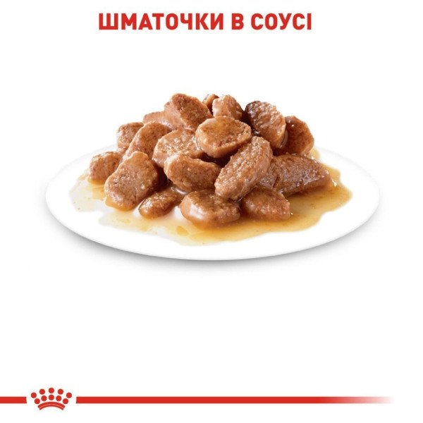 Вологий корм для котів Royal Canin Ageing 12+ Sauce pouch 85 г (1 упак 12 шт) Royal Canin – купити зі знижкою %