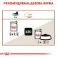 Вологий корм для котів Royal Canin Ageing 12+ Sauce pouch 85 г (1 упак 12 шт) Royal Canin – купити зі знижкою %