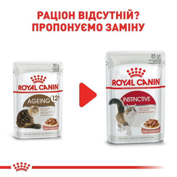 Вологий корм для котів Royal Canin Ageing 12+ Sauce pouch 85 г (1 упак 12 шт) Royal Canin – купити зі знижкою %