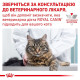 Royal Canin Neutered Maintenance вологий корм для котів 85 г (1 упак 12 шт) Royal Canin – купити зі знижкою %