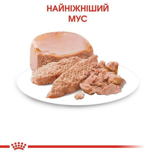 Вологий корм для кошенят Royal Canin Mother & Babycat Loaf pouch 195 г (1 упак 12 шт) Royal Canin – купити зі знижкою %