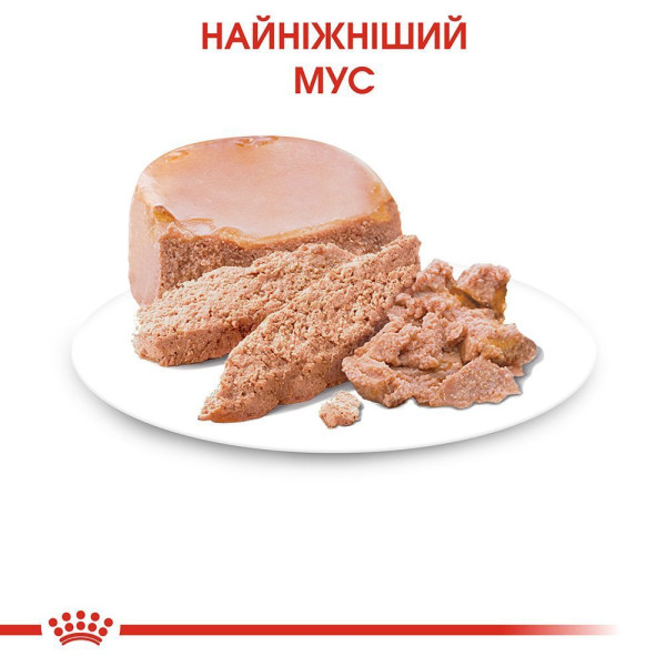 Вологий корм для кошенят Royal Canin Mother & Babycat Loaf pouch 195 г (1 упак 12 шт) Royal Canin – купити зі знижкою %