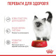 Вологий корм для кошенят Royal Canin Kitten Jelly pouch 85 г (1 упак 12 шт) Royal Canin – купити зі знижкою %