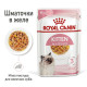 Вологий корм для кошенят Royal Canin Kitten Jelly pouch 85 г (1 упак 12 шт) Royal Canin – купити зі знижкою %