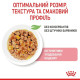 Вологий корм для кошенят Royal Canin Kitten Jelly pouch 85 г (1 упак 12 шт) Royal Canin – купити зі знижкою %