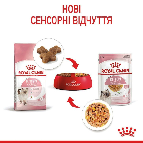 Вологий корм для кошенят Royal Canin Kitten Jelly pouch 85 г (1 упак 12 шт) Royal Canin – купити зі знижкою %