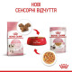 Вологий корм для кошенят Royal Canin Kitten Jelly pouch 85 г (1 упак 12 шт) Royal Canin – купити зі знижкою %