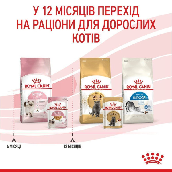 Вологий корм для кошенят Royal Canin Kitten Jelly pouch 85 г (1 упак 12 шт) Royal Canin – купити зі знижкою %