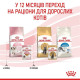 Вологий корм для кошенят Royal Canin Kitten Jelly pouch 85 г (1 упак 12 шт) Royal Canin – купити зі знижкою %