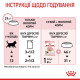 Вологий корм для кошенят Royal Canin Kitten Jelly pouch 85 г (1 упак 12 шт) Royal Canin – купити зі знижкою %