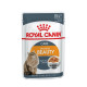 Вологий корм для котів Royal Canin Intense Beauty Jelly pouch 85 г (1 упак 12 шт) Royal Canin – купити зі знижкою %