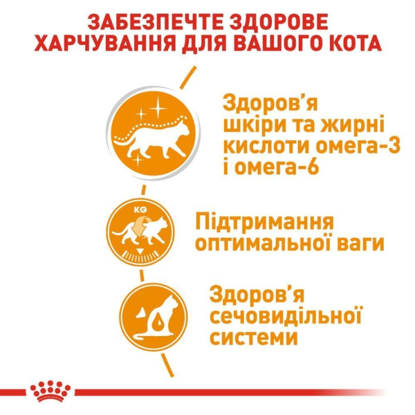 Вологий корм для котів Royal Canin Intense Beauty Jelly pouch 85 г (1 упак 12 шт) Royal Canin – купити зі знижкою %