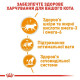 Вологий корм для котів Royal Canin Intense Beauty Jelly pouch 85 г (1 упак 12 шт) Royal Canin – купити зі знижкою %