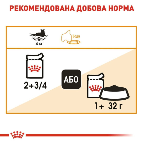 Вологий корм для котів Royal Canin Intense Beauty Jelly pouch 85 г (1 упак 12 шт) Royal Canin – купити зі знижкою %