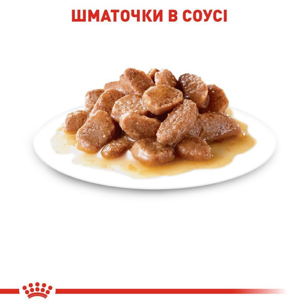Вологий корм для котів Royal Canin Urinary Care Gravy pouch 85 г (1 упак 12 шт) Royal Canin – купити зі знижкою %