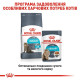 Вологий корм для котів Royal Canin Urinary Care Gravy pouch 85 г (1 упак 12 шт) Royal Canin – купити зі знижкою %