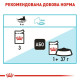 Вологий корм для котів Royal Canin Urinary Care Gravy pouch 85 г (1 упак 12 шт) Royal Canin – купити зі знижкою %
