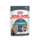 Вологий корм для котів Royal Canin Hairball Care Gravy pouch 85 г (1 упак 12 шт) Royal Canin – купити зі знижкою %