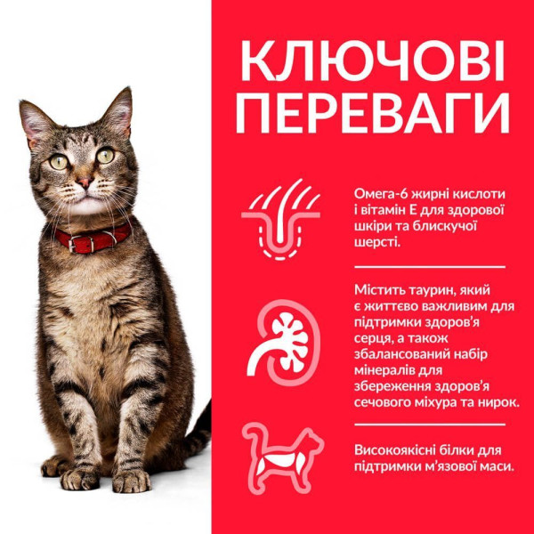 Сухой корм для кошек Hill's Science Plan Adult 10 кг - ягненок Hills – купить со скидкой