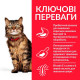 Сухой корм для кошек Hill's Science Plan Sensitive Stomach & Skin Adult 7 кг - курица Hills – купить со скидкой