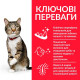 Сухой корм для кошек Hill's Science Plan Oral Care Adult 1,5 кг - курица Hills – купить со скидкой