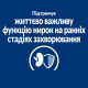 Сухой корм для кошек Hill's Prescription Diet k/d Early Stage 1,5 кг - курица Hills – купить со скидкой