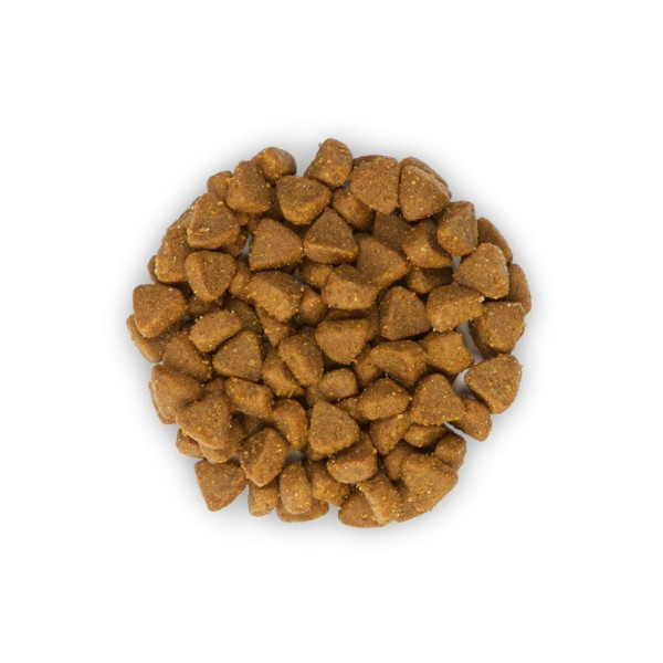Сухой корм для котят Hill's Science Plan Kitten 1,5 кг - курица Hills – купить со скидкой