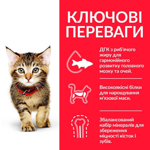 Сухой корм для котят Hill's Science Plan Kitten 1,5 кг - курица Hills – купить со скидкой