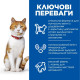 Сухой корм для котов Hill's Science Plan Adult Sterilised Cat Sal 3 кг - лосось Hills – купить со скидкой