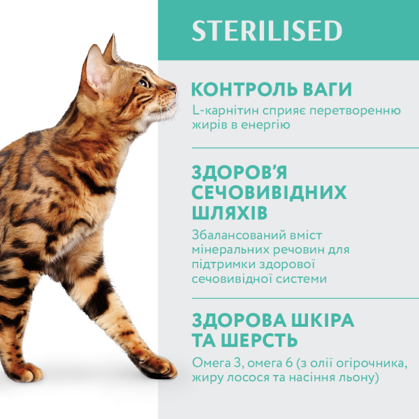 Сухой корм для стерилизованых котов Optimeal Adult Cat Sterilised Turkey With Oat 1,5 кг - индейка и овес Optimeal – купить со скидкой