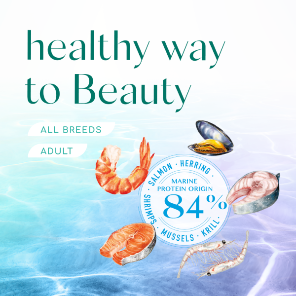 Сухий корм Optimeal Beauty Harmony для дорослих кішок з морепродуктами 1.5 кг Optimeal Beauty – купити зі знижкою %