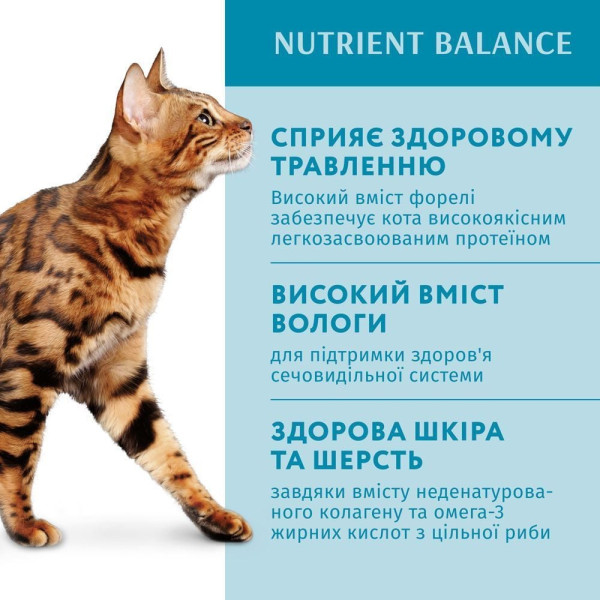 Вологий корм для котів Optimeal pouch (12 шт упаковка) (з фореллю в кремовому соусі) Optimeal – купити зі знижкою %